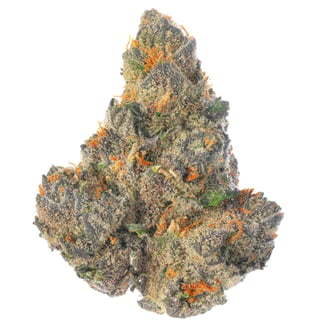Black Ube by West Coast Cure