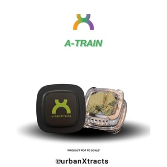 A-Train by Urban Xtracts