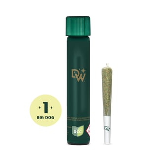 Hash Queen [.75g] by DW