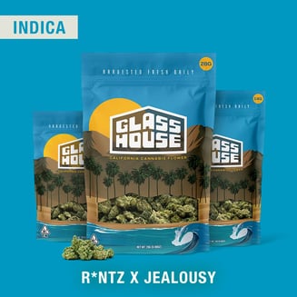 Glass House Farms — R*ntz X Jealousy