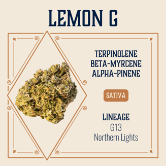 1:1 Lemon G by Elevate