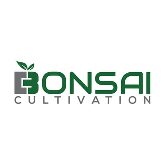 Carbon Fiber by Bonsai Cultivation