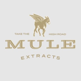 1:1 Raspberry Lemonade Muleshine (1000mg) by Mule Extracts