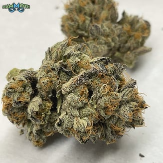 Animal Gas