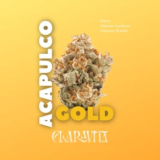 Acapulco Gold by Claravita