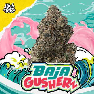 HIGH 90s — Baja Gusherz