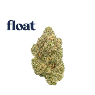 Apple Banana Peach Ringz by Float