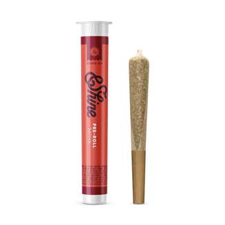 V6 Haze #5 [.75g] by &Shine