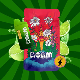 Lime Sorbet 2g by ROAM