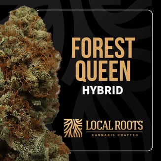 Forest Queen by Local Roots