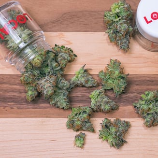 Black Jack by Loyal Flower Co