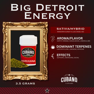 Big Detroit Energy
