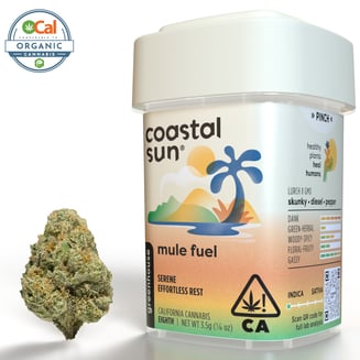 Coastal Sun — Mule Fuel