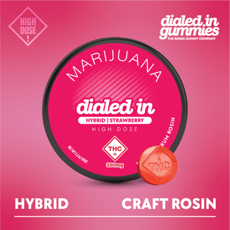 300mg - Strawberry - Rosin Gummies (10pk) by Dialed In Gummies