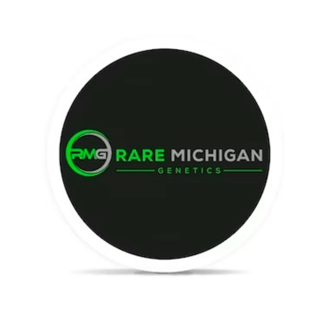 Daiquiri Deck by Rare Michigan Genetics