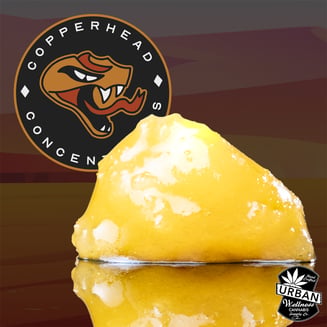 Black Ice by CopperHead