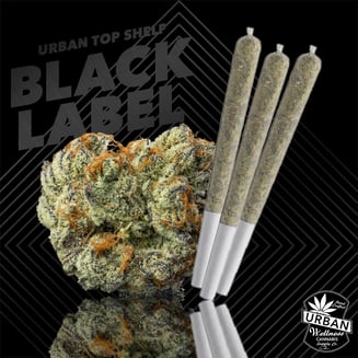 Drippin Aint Easy [1g] by Urban Wellness