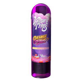 WIZARD TREES — Orange Magic