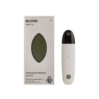 BLOOM — Permanent Marker