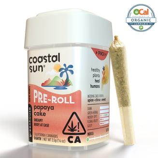 Coastal Sun: Papaya Cake