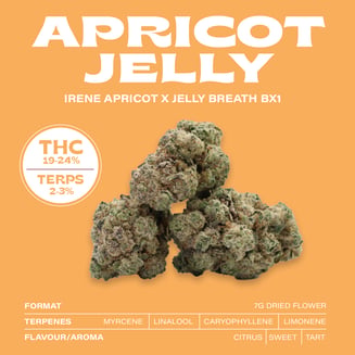 Apricot Jelly by Calyptra Light