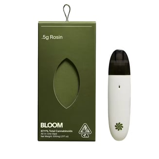 BLOOM — Mimosa
