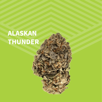 Alaskan Thunder by Pure Dakota