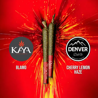 Blamo // Cherry Lemon Haze [0.5g each] by Made in Xiaolin