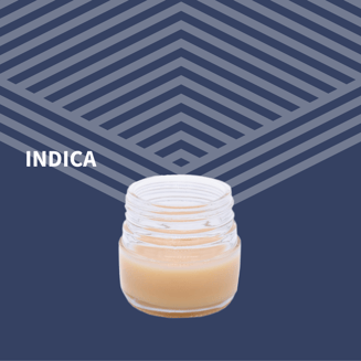 1:1 Lotion - Untz Muffin [20g] by Pure Dakota