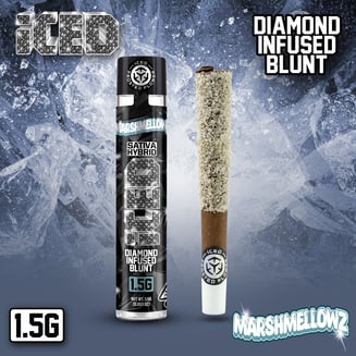 ICED — Marshmellowz