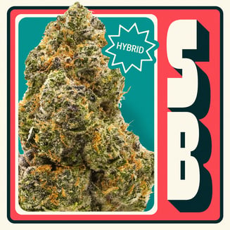 SB [14.15g] by Neighborgoods