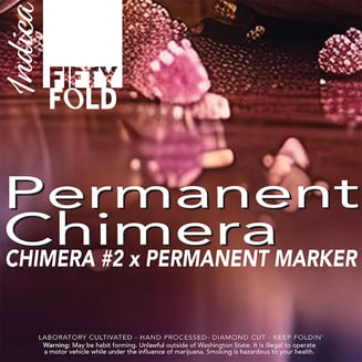 Permanent Chimera by Fifty Fold