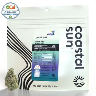 Coastal Sun: Grape Gas