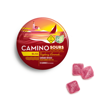 'Bliss' Raspberry Lemonade [10pk] (110mg THC) by Camino