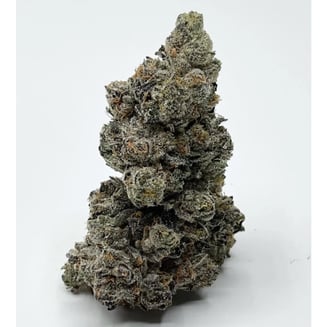 Ripped Off Runtz by Fire Ganja