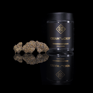 CREAM OF THE CROP — Purple Pineapple