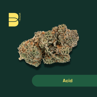 20:1 Acid [ACD] by Botanist