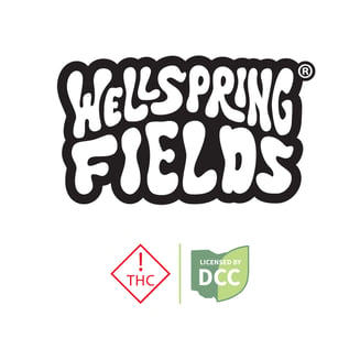 Ginger Ale (30mg) by Wellspring Fields