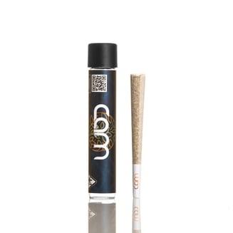 CAM — Kush Mints