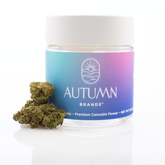Autumn Brands — Purple Carbonite