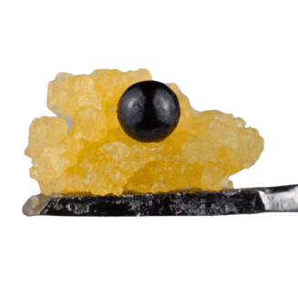 Biskante X Gastro Pop by Kali Gold