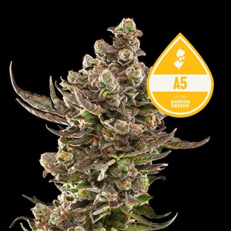 A5 by Garden Greens