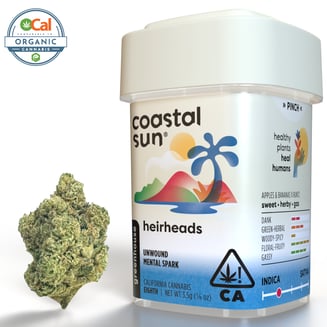 Coastal Sun: Heirheads