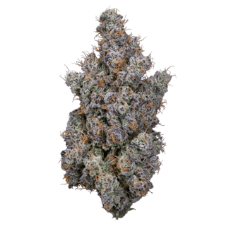 Syrupz [3.54g] by Klutch Cannabis