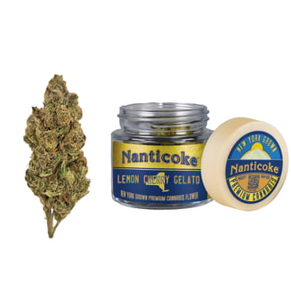 Lemon Cherry Gelato by Nanticoke