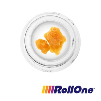 Maryland Mantis by Roll One