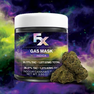 Gas Mask by FX