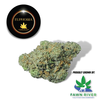 Apples & Bananas by Euphoria