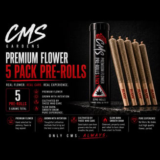 Cream Cookiez [.5g] by CMS Gardens