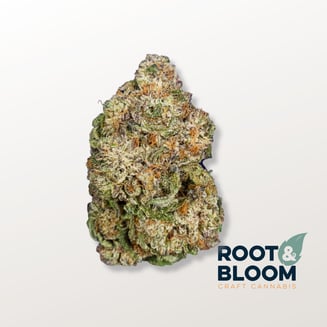 Cherry Pie OG by Root & Bloom